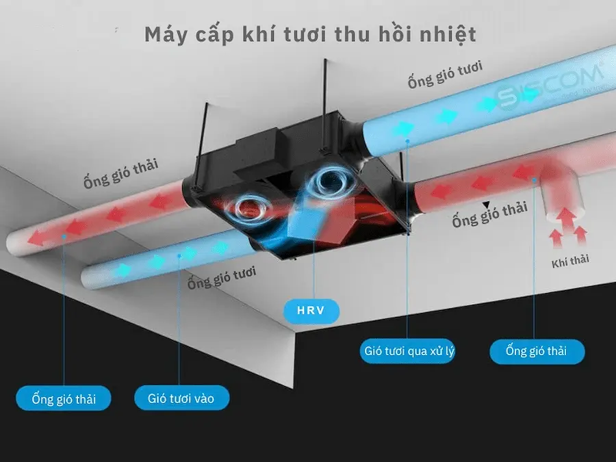 So sánh HRV và ERV nên dùng loại nào